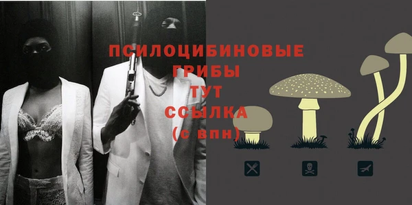 хмурый Баксан