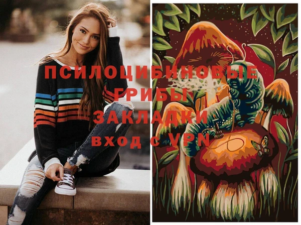 тгк Арсеньев